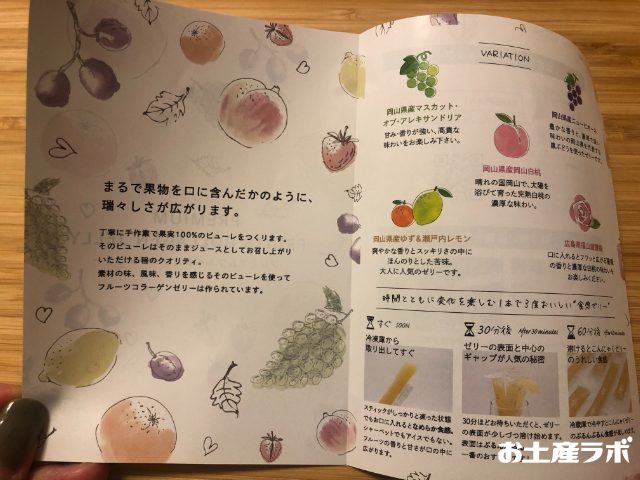 コラーゲンゼリー　冊子の中