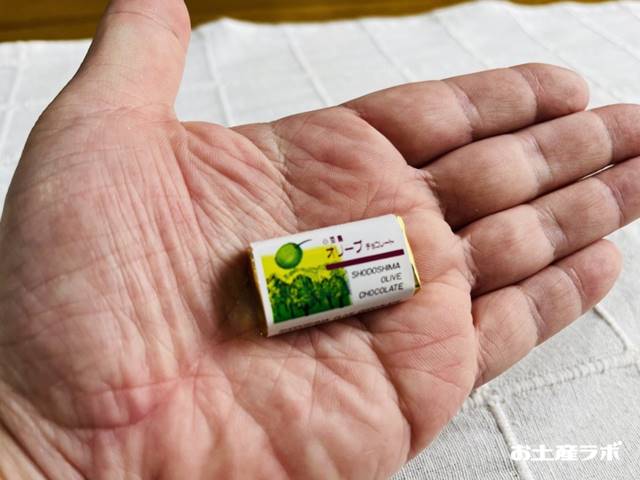 手のひらの上のオリーブチョコレート