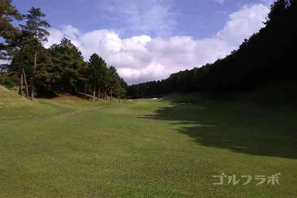 沼津ゴルフクラブの伊豆4ホールのレディースティ