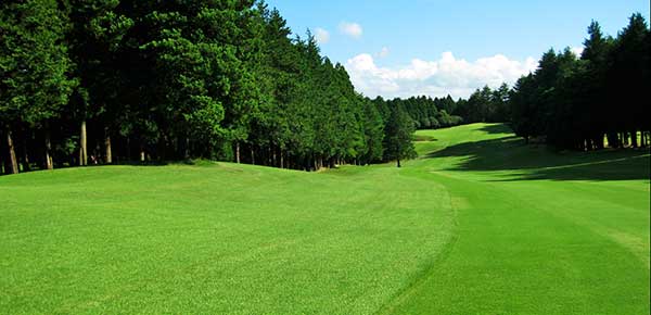 初心者でも簡単 千葉県のベストスコアが出やすいやさしいゴルフ場ランキング ゴルフラボbyスマイルゴルフ