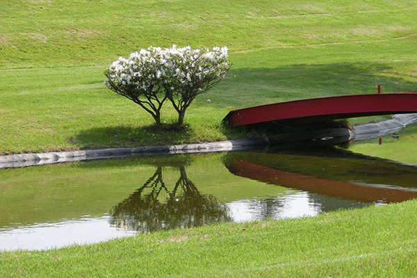 大館カントリークラブ