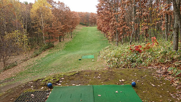 布 台無しに ジャベスウィルソン 東 雁来 ショート コース ショット 一般的な 割り込み