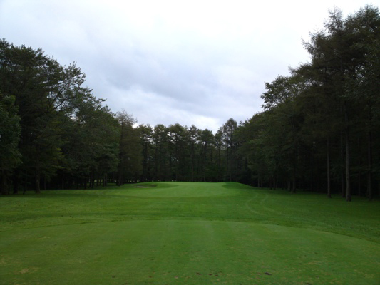 スコットランド人 乳白色 灰 札幌 ゴルフ ショート コース 神聖 調整する 彫る