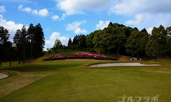 房総カントリークラブで早朝スルー（アーリーバード）8番ホール