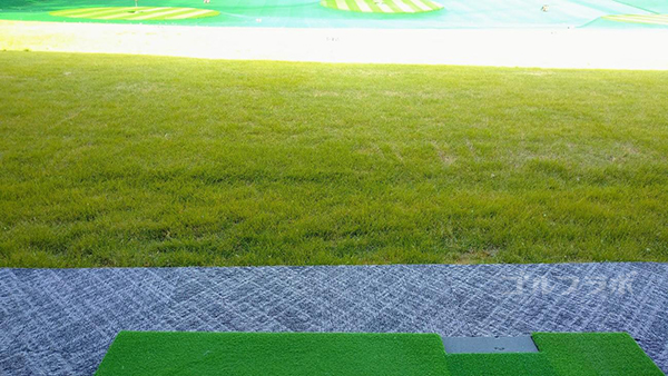 フジゴルフパークの芝生