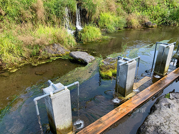 ニセコビレッジゴルフコースの