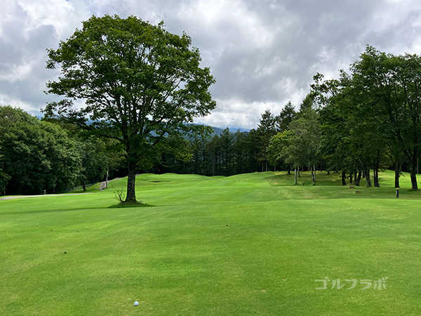 鈴蘭高原カントリークラブの8番ホール