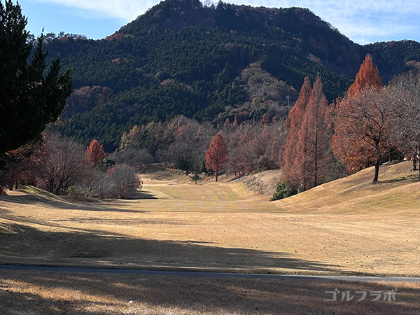 埼玉国際ゴルフ倶楽部の南コースの4番ホール