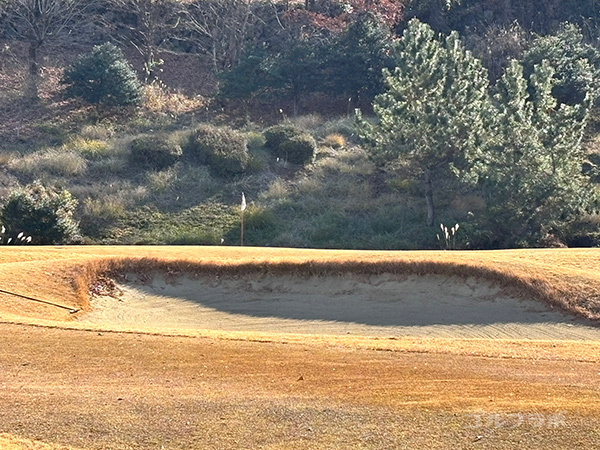 埼玉国際ゴルフ倶楽部の西コースの7番ホール