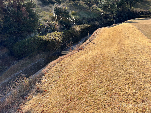 埼玉国際ゴルフ倶楽部の西コースの7番ホール