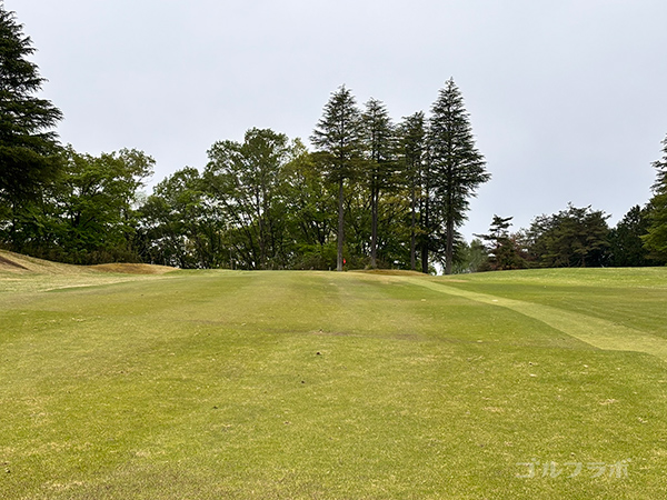 風月カントリー倶楽部の中コース8番ホール