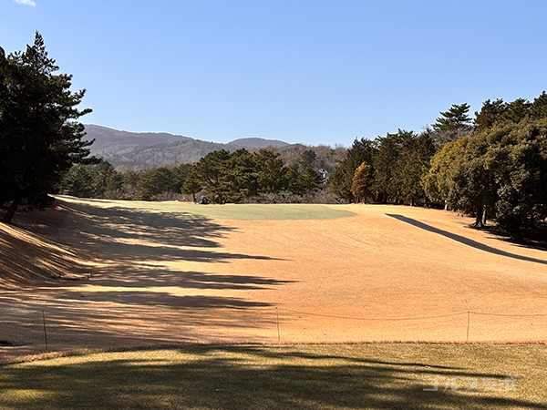 ゴールド川奈カントリークラブの11番ホール