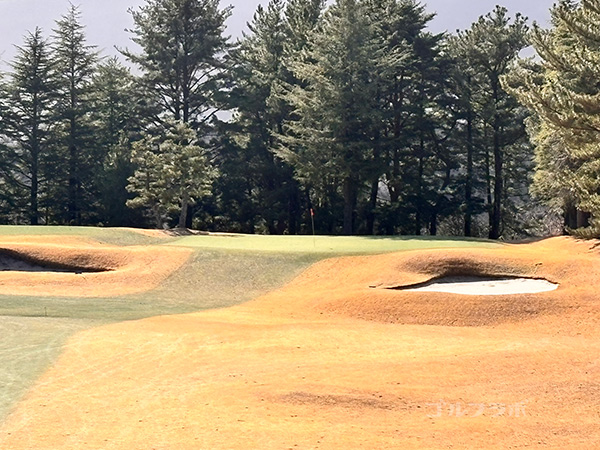 ゴールド川奈カントリークラブの12番ホール