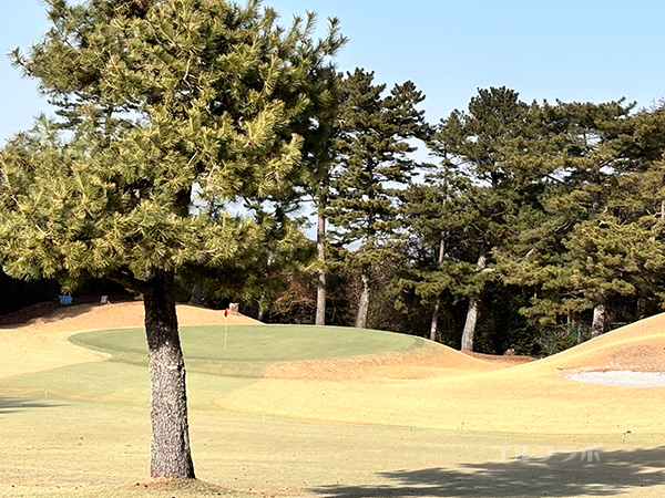 ゴールド川奈カントリークラブの18番ホール