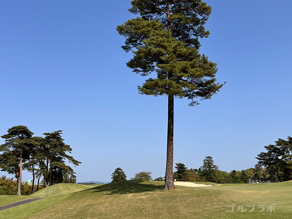 千成ゴルフクラブの11番ホール