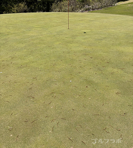 千成ゴルフクラブの8番ホール