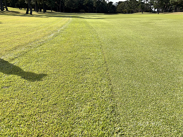 霞ケ関カンツリー倶楽部西コースの1番コース