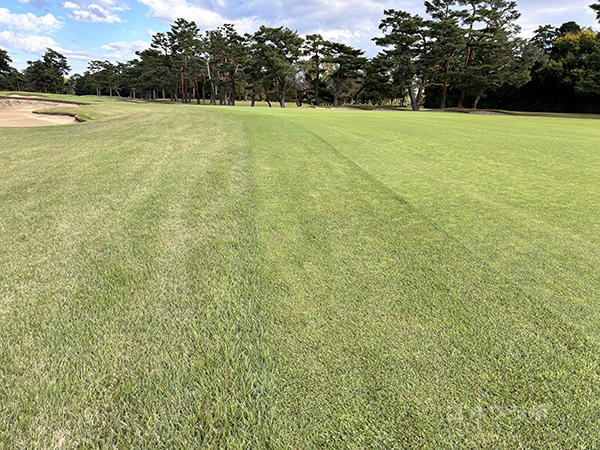 霞ヶ関カンツリー倶楽部西コースの17番コース